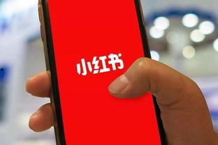 小红书爆料姜磊事件视频,小红书热议的真相揭秘